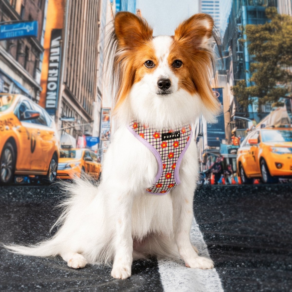 Puppia Westley Hondentuig Model A Violet hondentuig > honden harnas > model A Small