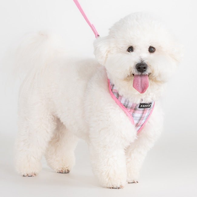 Puppia Windsor Hondentuig Model A Pink hondentuig > honden harnas > model A Small