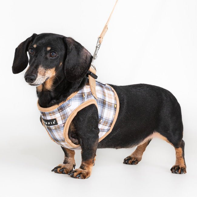 Puppia Windsor Vest Harness Model B Beige hondentuig > honden harnas > model B Small