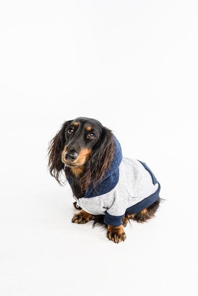 Big and Little Dogs hoody jumper Quilted Navy Hondenkleding > Hondentrui X - Small