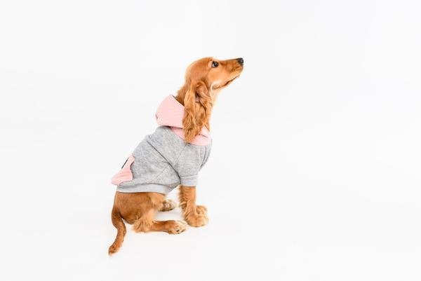 Big and Little Dogs hoody jumper Quilted Blush ( X small ) Hondenkleding > Hondentrui X - Small