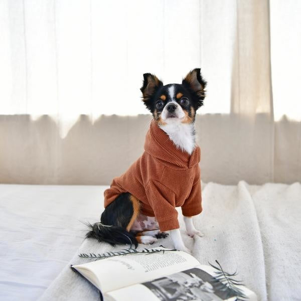 Pinkaholic Pippa Sweater Hooded T-Shirt Camel - Premium Hondenkleding > Hondentrui from Pinkaholic - Just €20! Shop now at Frenkiezdogshop