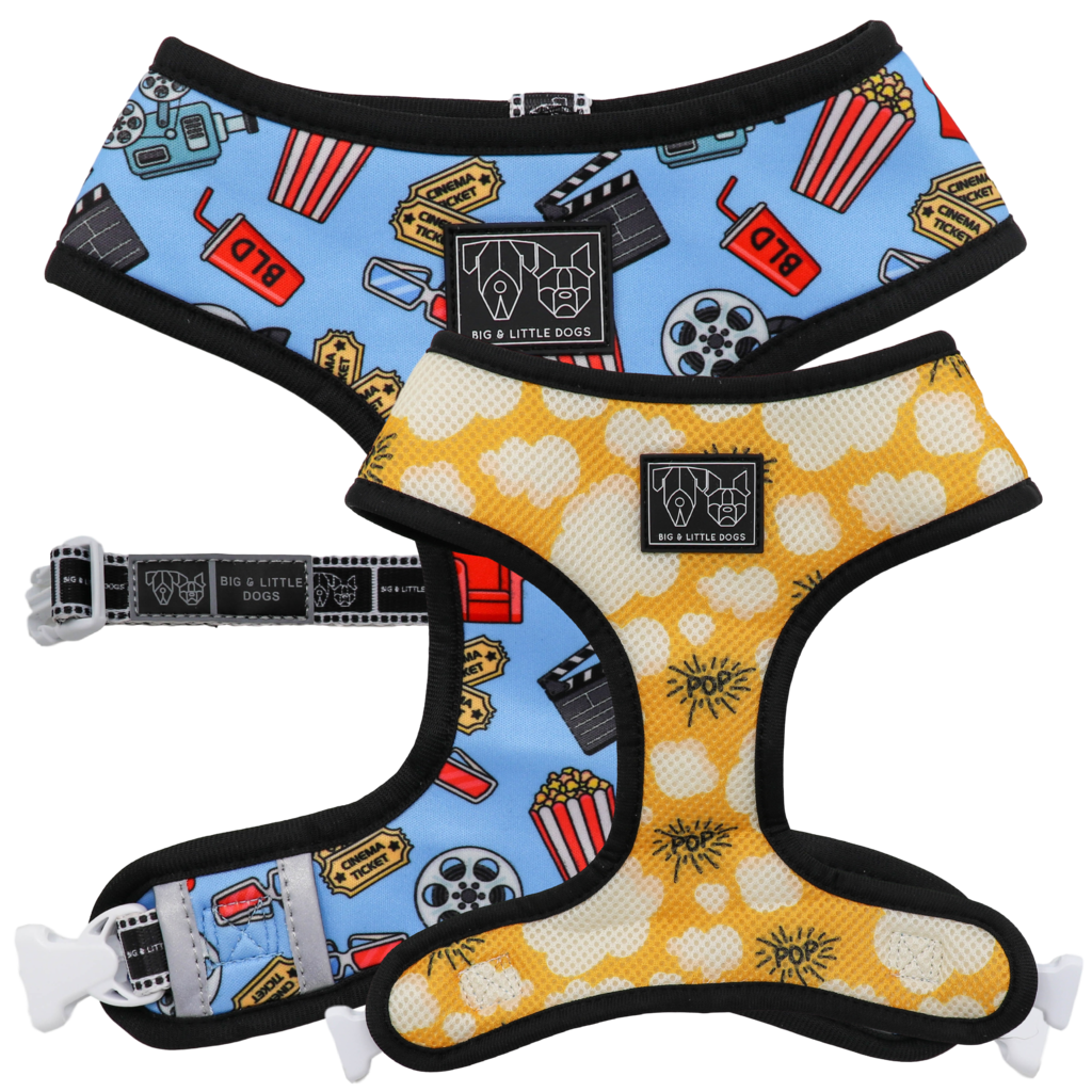 Big and Little Dogs Reversible Harness Lights, Camera, Action ( XS & M ) - Premium hondentuig > honden harnas from Big and Little Dogs - Just €10! Shop now at Frenkiezdogshop