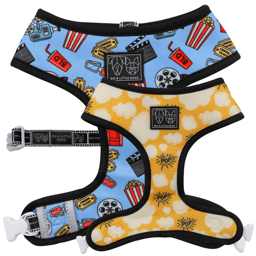 Big and Little Dogs Reversible Harness Lights, Camera, Action ( XS & M ) hondentuig > honden harnas > model A X - Small