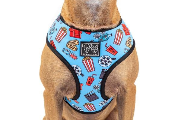 Big and Little Dogs Reversible Harness Lights, Camera, Action ( XS & M ) - Premium hondentuig > honden harnas from Big and Little Dogs - Just €10! Shop now at Frenkiezdogshop