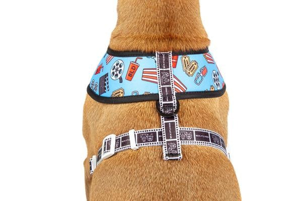 Big and Little Dogs Reversible Harness Lights, Camera, Action ( XS & M ) - Premium hondentuig > honden harnas from Big and Little Dogs - Just €10! Shop now at Frenkiezdogshop