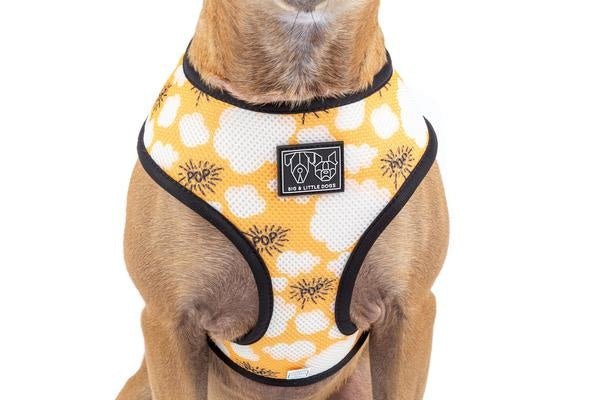 Big and Little Dogs Reversible Harness Lights, Camera, Action ( XS & M ) hondentuig > honden harnas > model A X - Small