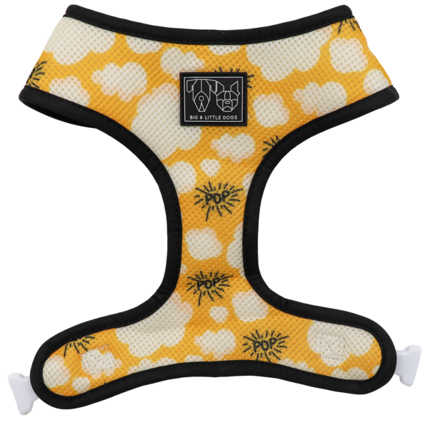 Big and Little Dogs Reversible Harness Lights, Camera, Action ( XS & M ) - Premium hondentuig > honden harnas from Big and Little Dogs - Just €10! Shop now at Frenkiezdogshop