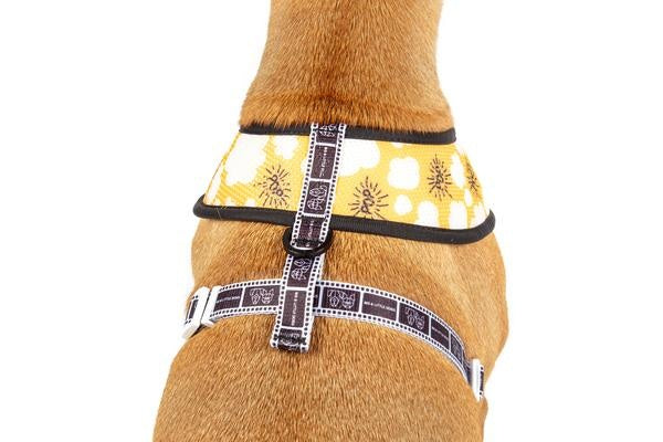 Big and Little Dogs Reversible Harness Lights, Camera, Action ( XS & M ) - Premium hondentuig > honden harnas from Big and Little Dogs - Just €10! Shop now at Frenkiezdogshop