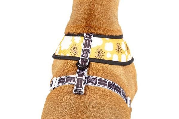 Big and Little Dogs Reversible Harness Lights, Camera, Action ( XS & M ) hondentuig > honden harnas > model A X - Small