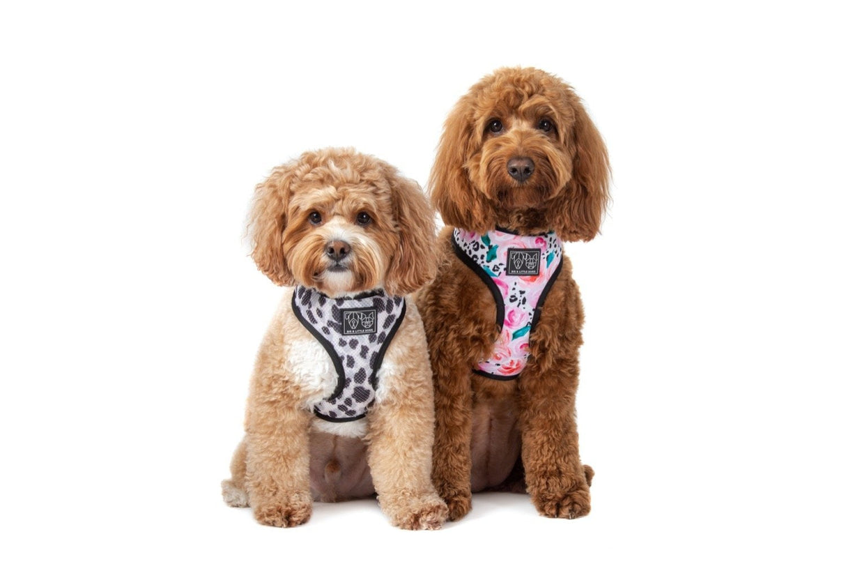Big and Little Dogs Reversible Pretty as a Peony - Premium hondentuig > honden harnas from Big and Little Dogs - Just €10! Shop now at Frenkiezdogshop