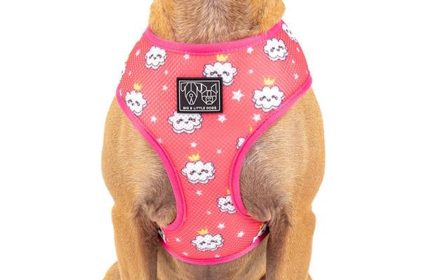 Big and Little Dogs Reversible Harness Slumber Party - Premium hondentuig > honden harnas from Big and Little Dogs - Just €10! Shop now at Frenkiezdogshop