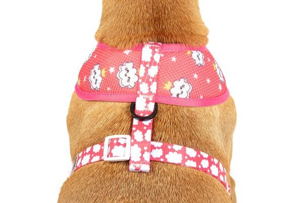 Big and Little Dogs Reversible Harness Slumber Party - Premium hondentuig > honden harnas from Big and Little Dogs - Just €10! Shop now at Frenkiezdogshop