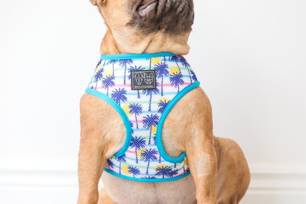 Big and Little Dogs Reversible Surf's Up - Premium hondentuig > honden harnas from Big and Little Dogs - Just €10! Shop now at Frenkiezdogshop