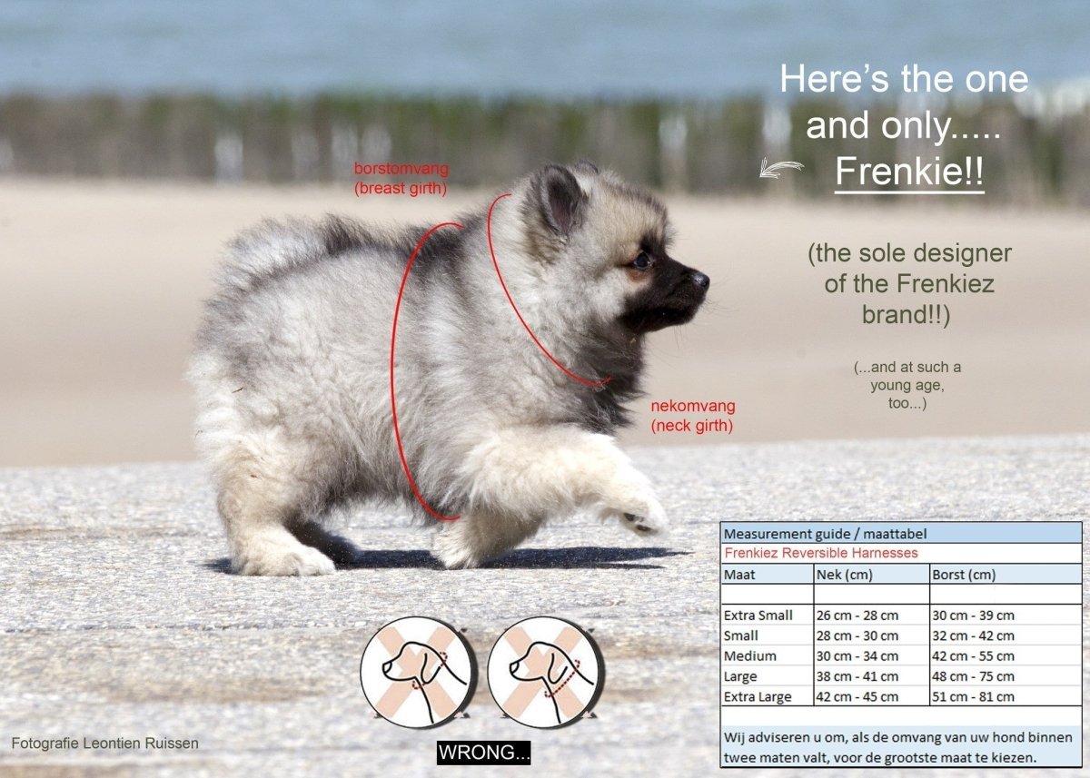 Frenkiez Reversible Harness BarkBerry Beige hondentuig > honden harnas > model A X - Small