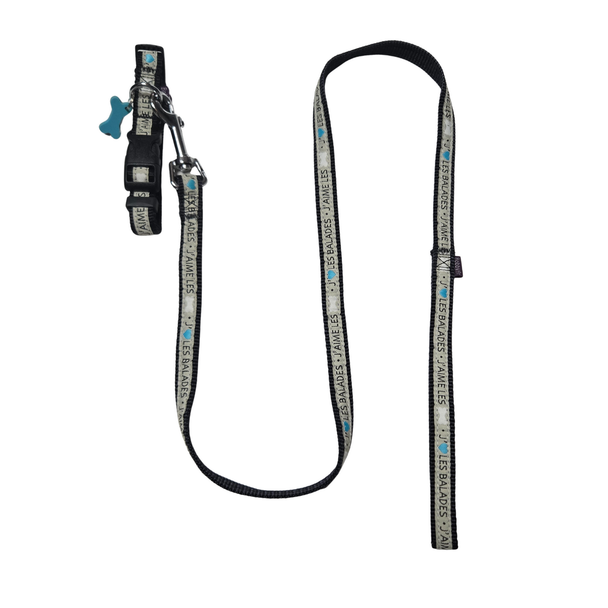 Bobby Yaimeles collar and leash Gray second chance