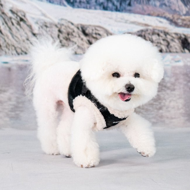 Puppia Winterstride Vest Harness B Black hondentuig > honden harnas > model B Small