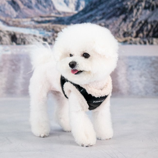 Puppia Winterstride Vest Harness B Black hondentuig > honden harnas > model B Small