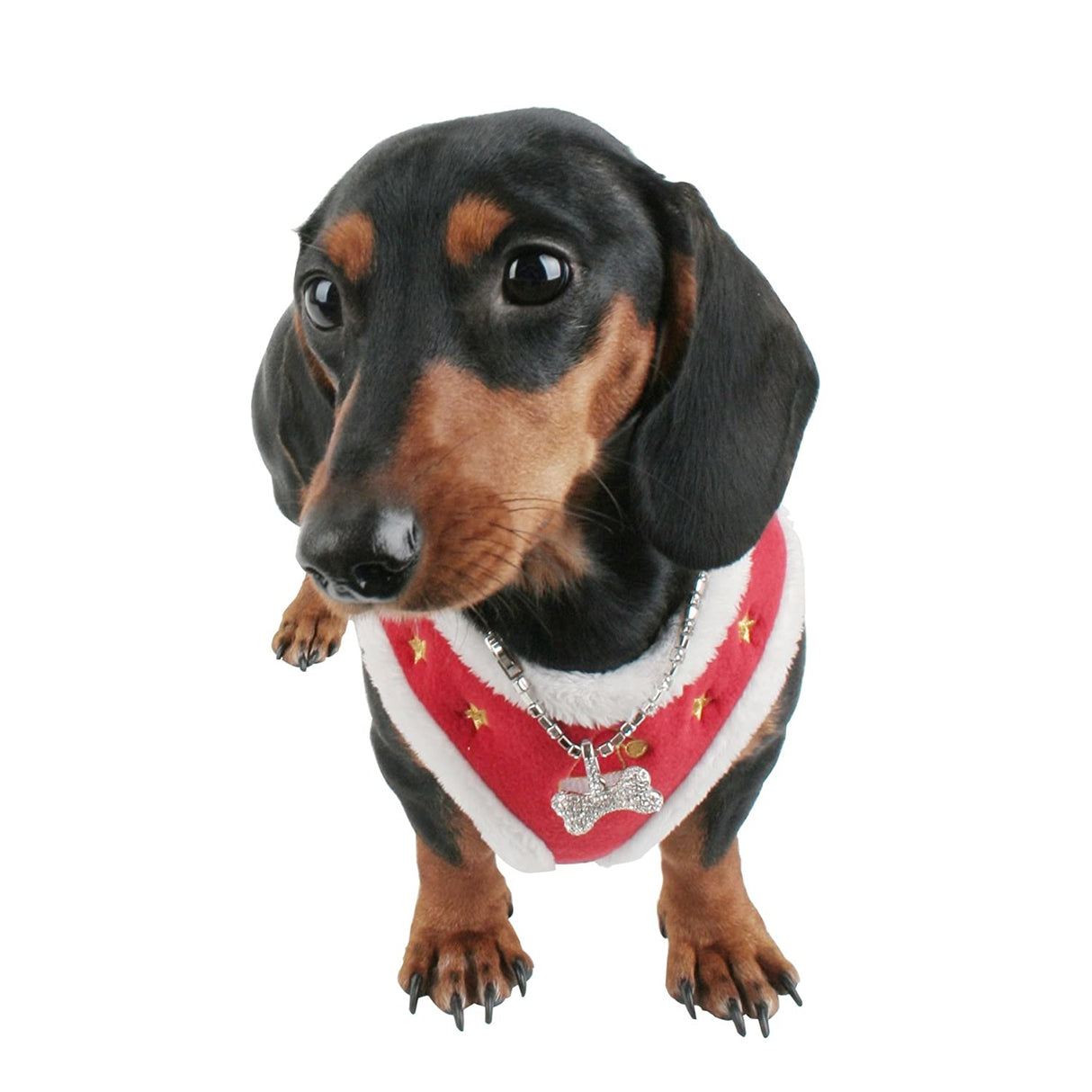 Puppia Santa Harness model A Red - Premium hondentuig > honden harnas from Puppia - Just €20! Shop now at Frenkiezdogshop