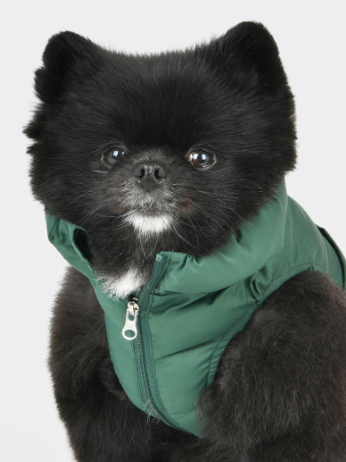 Puppia Puffer Vest Harness Jumper Green - Premium Hondenkleding > hondenjas from Puppia - Just €50! Shop now at Frenkiezdogshop