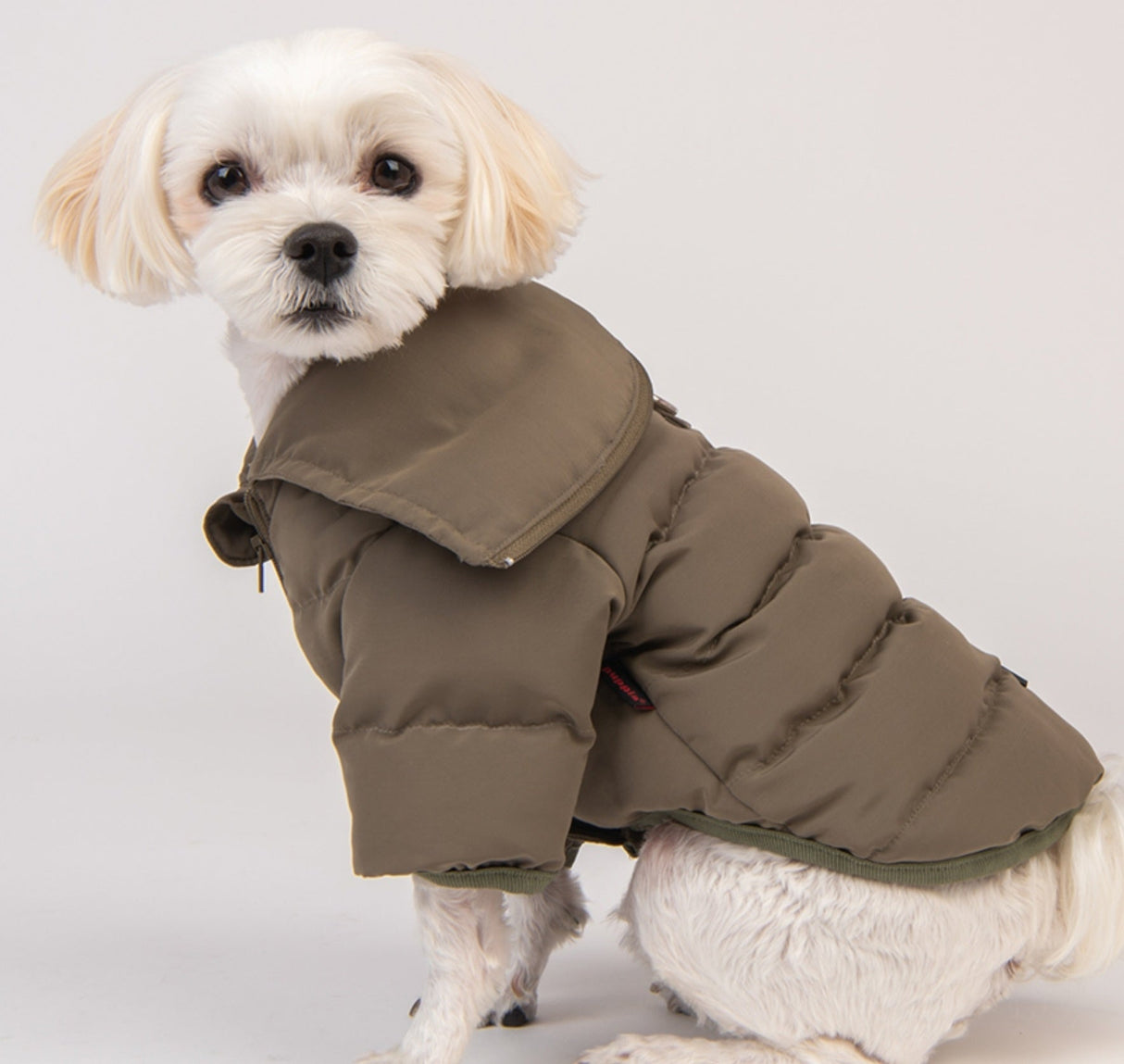 Puppia Sailor Collar Harness Jumper Khaki - Premium Hondenkleding > hondenjas from Puppia - Just €50! Shop now at Frenkiezdogshop