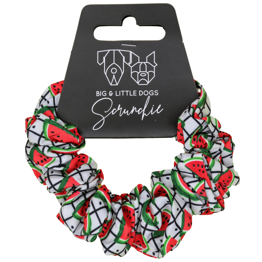 Big and Little Dogs A Slice of Summer scrunchie Haarelastiek > haarasseccoire Standaard/One Size