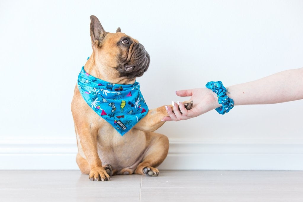 Big and Little Dogs Surf's Up scrunchie - Premium Haarelastiek > haarasseccoire from Big and Little Dogs - Just €5! Shop now at Frenkiezdogshop