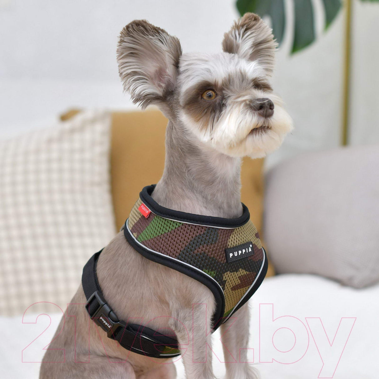 Puppia Soft Harness PRO model A Camo hondentuig > honden harnas > model A Small