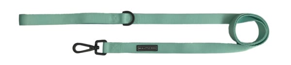 Big and Little Dogs Lijn Classic Teal (ALLEEN 1,5 CM) - Premium hondenriem / hondenlijn from Big and Little Dogs - Just €10! Shop now at Frenkiezdogshop