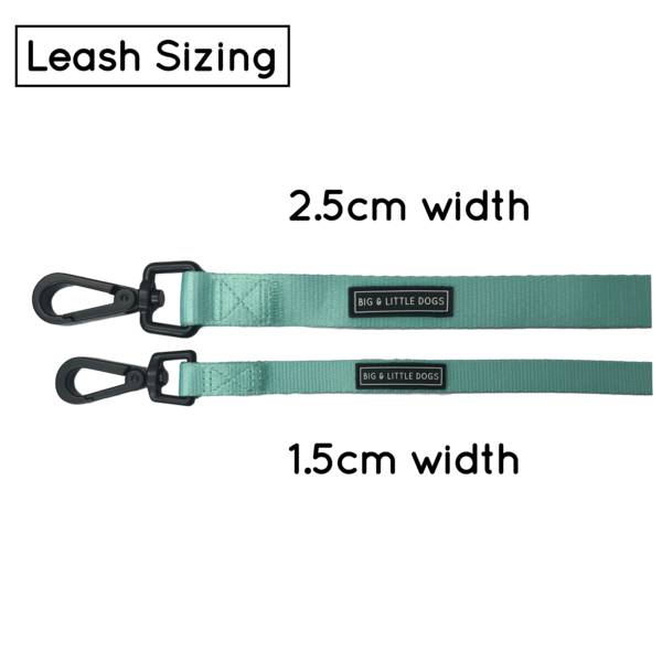 Big and Little Dogs Lijn Classic Teal (ALLEEN 1,5 CM) - Premium hondenriem / hondenlijn from Big and Little Dogs - Just €10! Shop now at Frenkiezdogshop