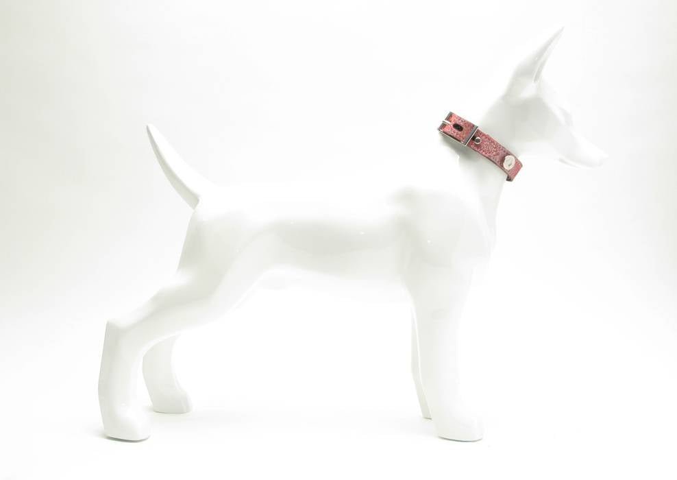 Multi Collar Sparkles Luxury Style Strap Buddy Belts X - Small