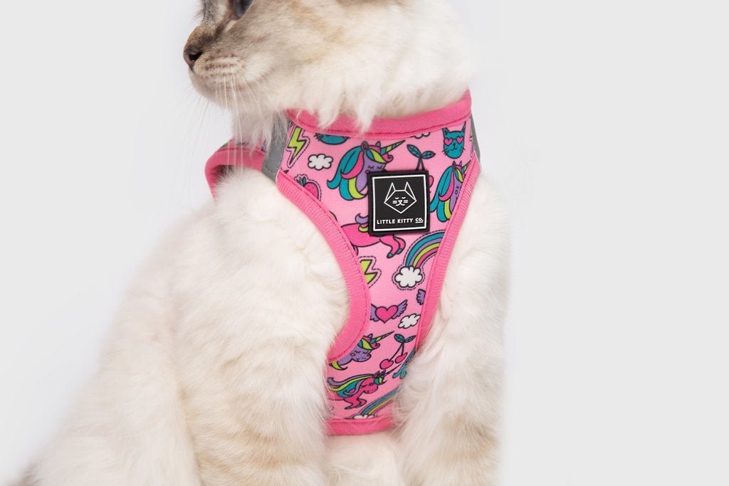 Little Kitty Cat Harness Meow - Gical ( M ) Kattentuig > kattenharnas Small