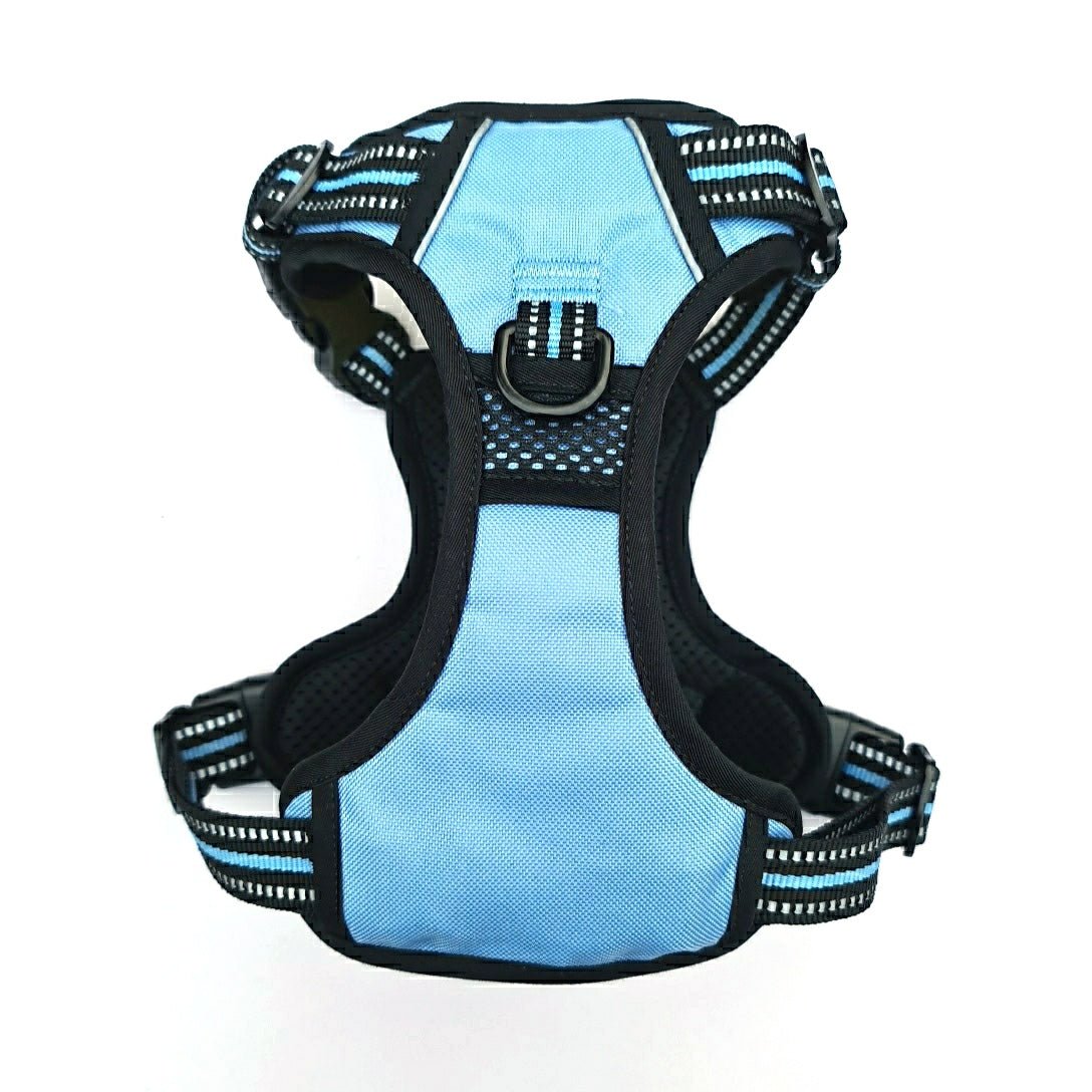 Frenkiez reflective Y tuig no pull dogharness lightblue hondentuig > honden harnas > Y tuigen X - Small