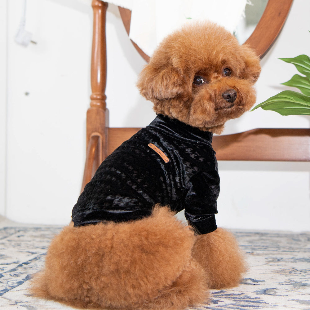 Puppia T-shirt Kendall Black - Premium hondenkleding > hondenshirt from Puppia - Just €20! Shop now at Frenkiezdogshop