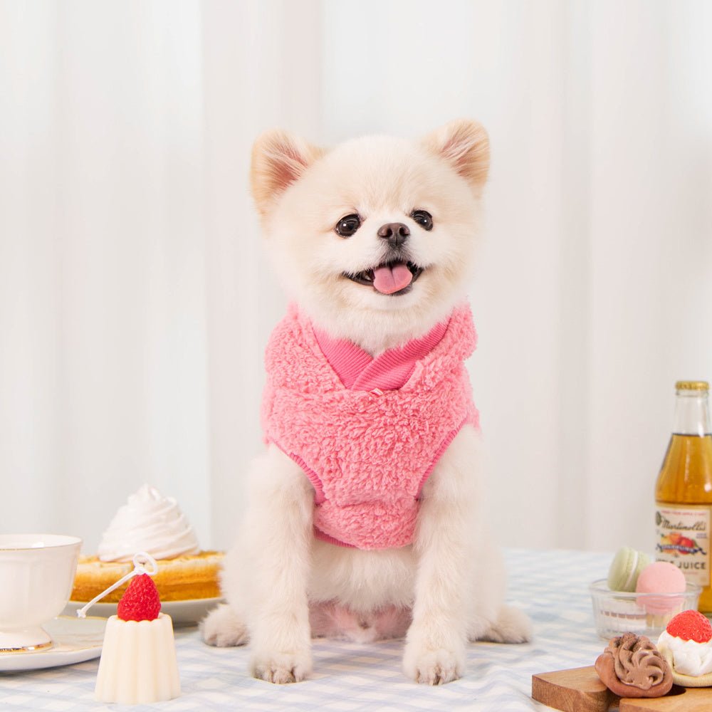 Puppia Lottie Hoodie Indian Pink Hondenkleding > Hondentrui Small