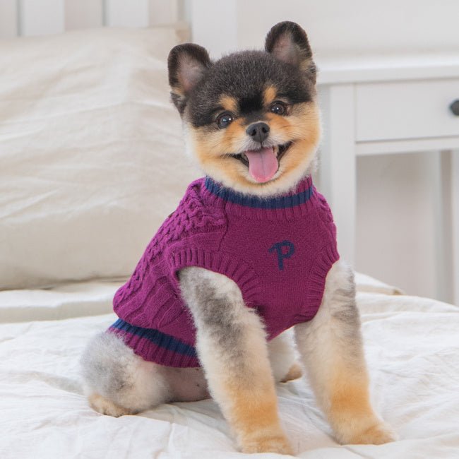 Puppia Winter Sweater Fannar Burgundy Hondenkleding > Hondentrui Small