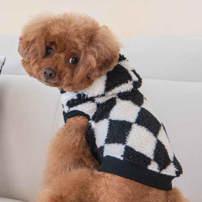 Puppia Luca Hoodie Black - Premium Hondenkleding > Hondentrui from Puppia - Just €29.99! Shop now at Frenkiezdogshop