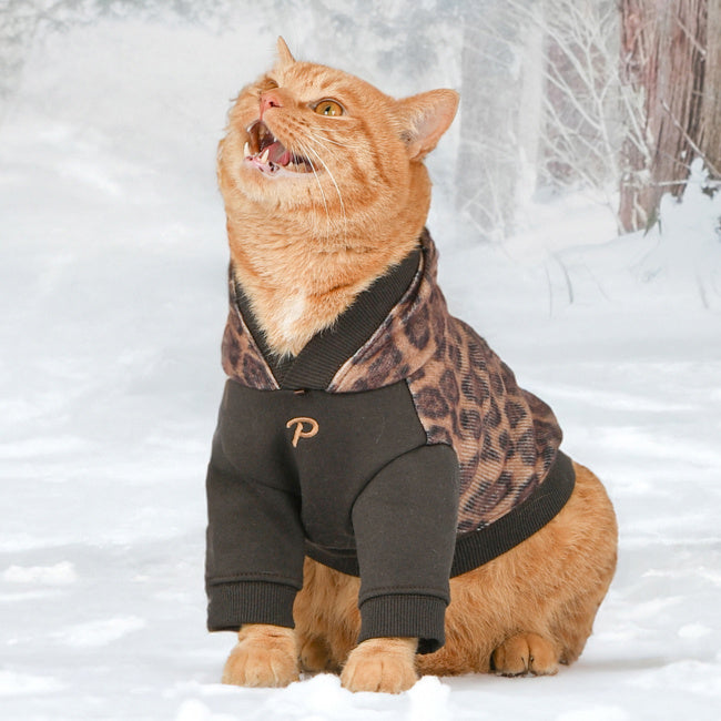 Puppia Kovo Hoody Jacket Harness Brown - Premium Hondenkleding > Hondentrui from Puppia - Just €29.99! Shop now at Frenkiezdogshop