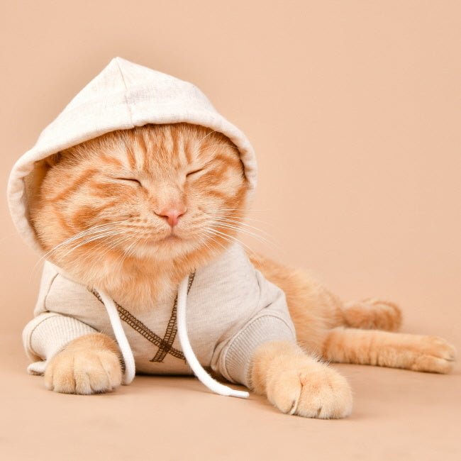 Olchi Simple Hood hondentrui Hoodie Beige Hondenkleding > Hondentrui Small