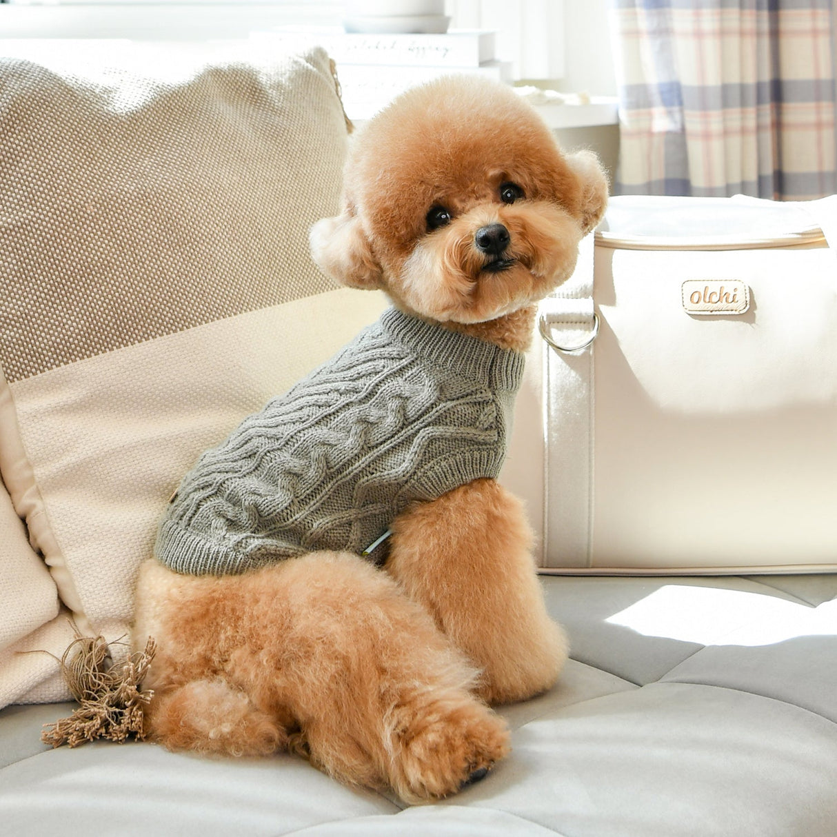 Olchi Breaded Knit Hondentrui grey - Premium Hondenkleding > Hondentrui from Olchi - Just €25! Shop now at Frenkiezdogshop