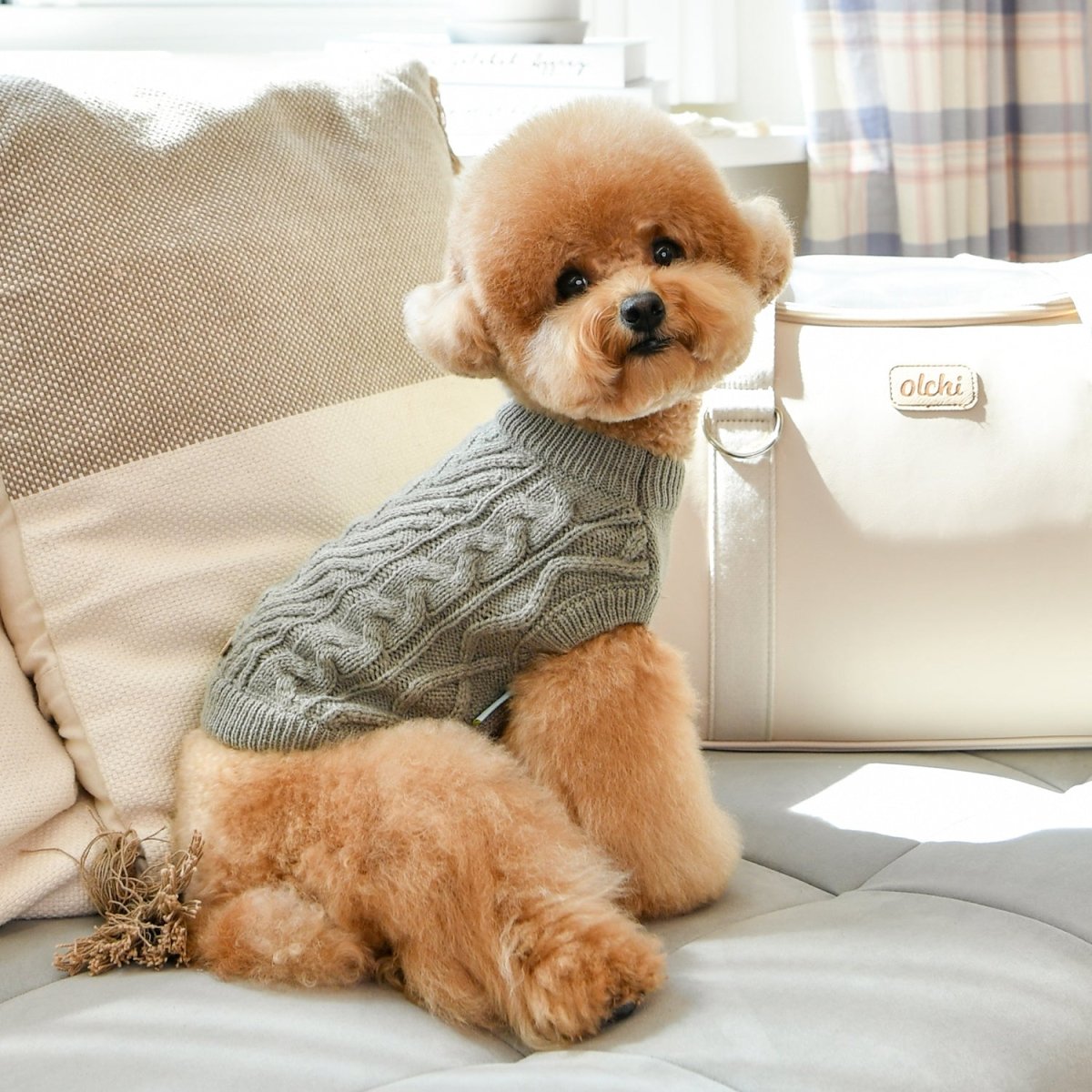 Olchi Breaded Knit Hondentrui grey Hondenkleding > Hondentrui Small