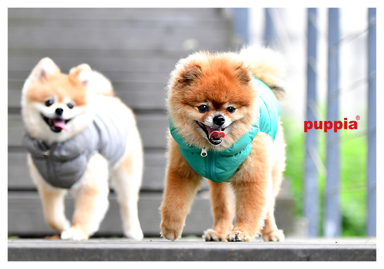 Puppia Ultra light jumper green - Premium Hondenkleding > hondenjas from Puppia - Just €50! Shop now at Frenkiezdogshop