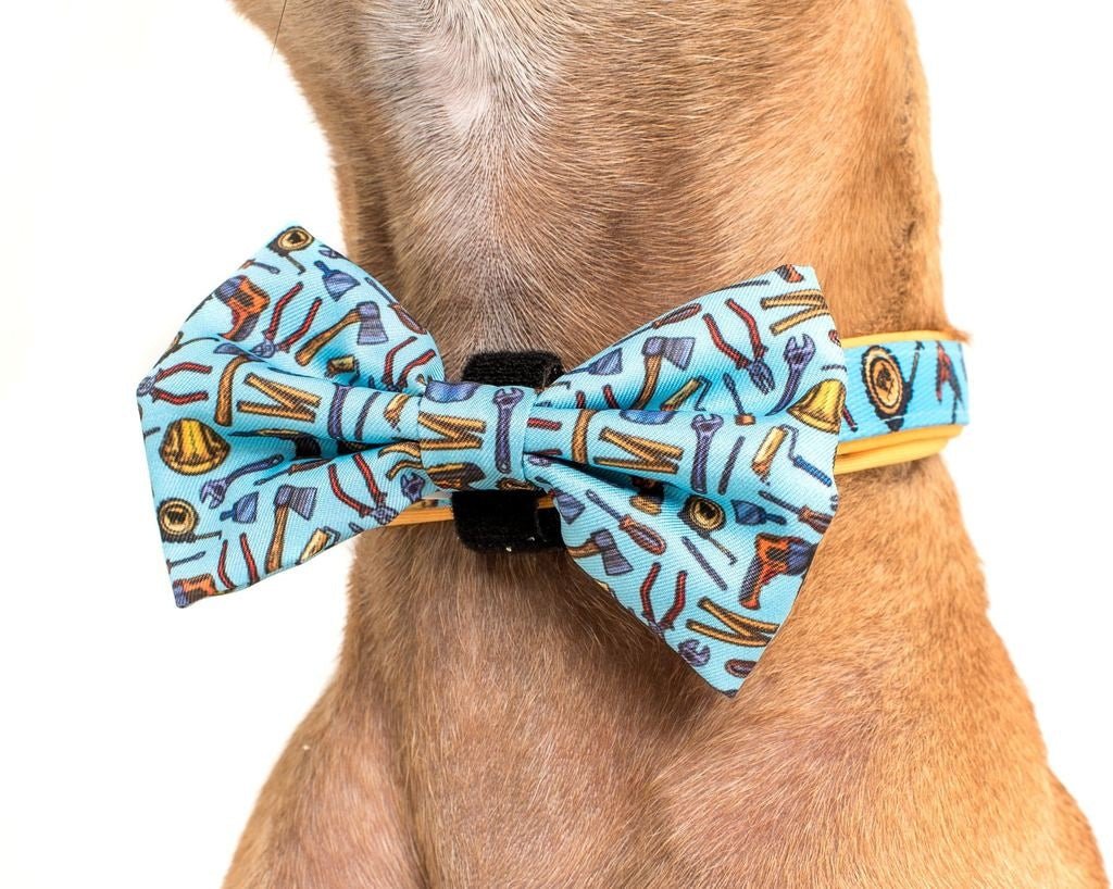 Big and Little Dogs Halsband Under Construction ( MEDIUM ) halsband > hondenhalsband Small