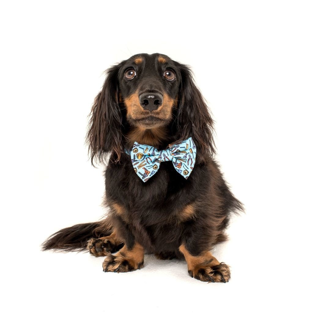 Big and Little Dogs Halsband Under Construction ( MEDIUM ) halsband > hondenhalsband Small