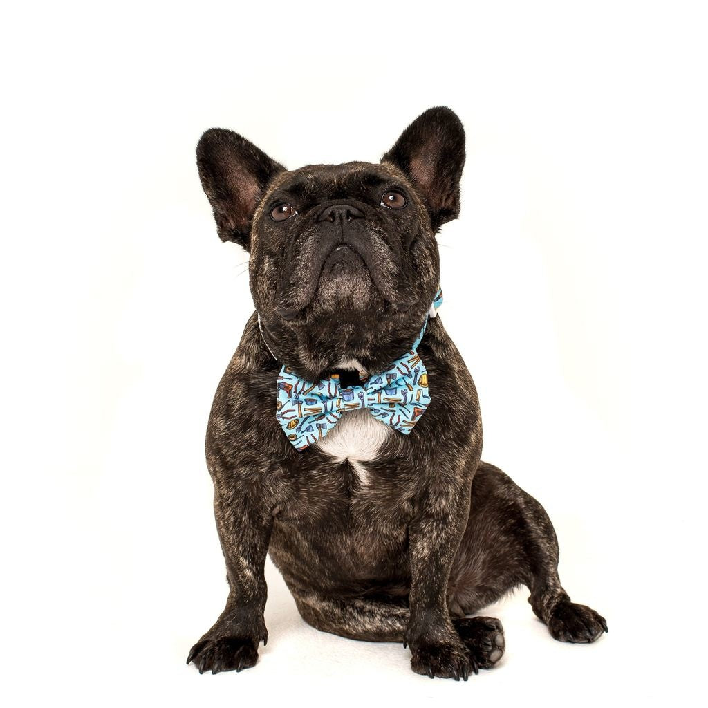 Big and Little Dogs Halsband Under Construction ( MEDIUM ) - Premium halsband > hondenhalsband from Big and Little Dogs - Just €10! Shop now at Frenkiezdogshop