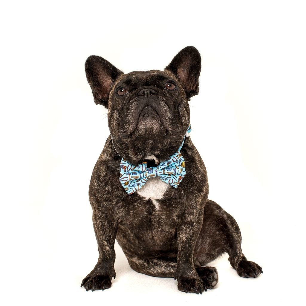 Big and Little Dogs Halsband Under Construction ( MEDIUM ) halsband > hondenhalsband Small