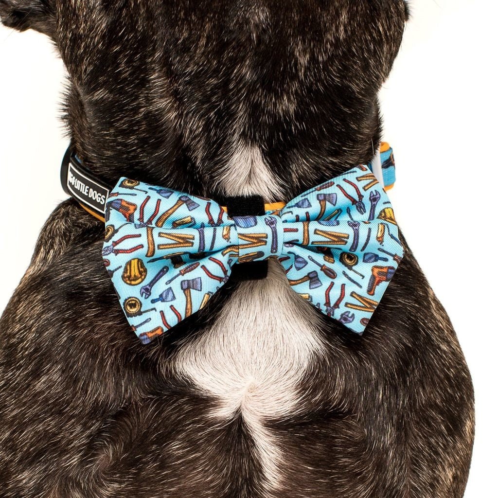 Big and Little Dogs Halsband Under Construction ( MEDIUM ) halsband > hondenhalsband Small