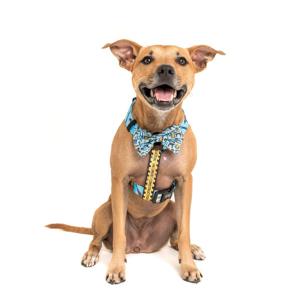 Big and Little Dogs Strap Harness Under Construction (ALLEEN LARGE) - Premium hondentuig > honden harnas from Big and Little Dogs - Just €10! Shop now at Frenkiezdogshop