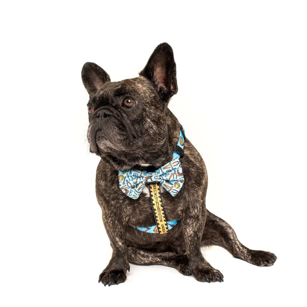 Big and Little Dogs Strap Harness Under Construction (ALLEEN LARGE) - Premium hondentuig > honden harnas from Big and Little Dogs - Just €10! Shop now at Frenkiezdogshop