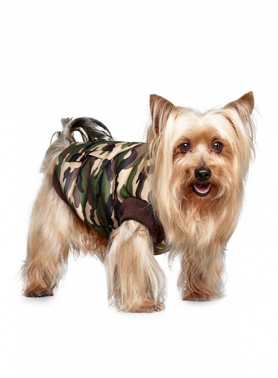 Urban Pup Forest Camouflage Bodywarmer - Premium Hondenkleding > hondenjas from Urban Pup - Just €20! Shop now at Frenkiezdogshop